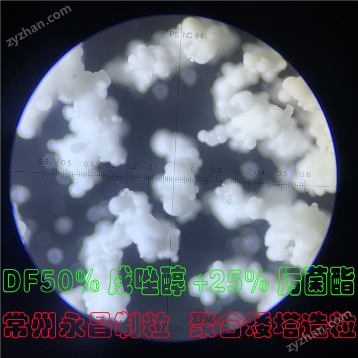 聚合噴霧流化造粒塔(永昌制粒)