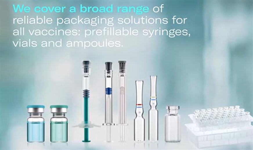 世界免疫周：見證疫苗之力，共筑生命防線