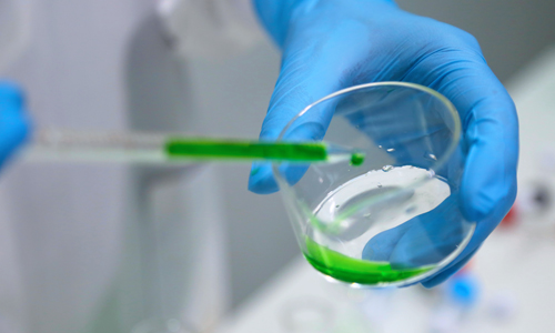 聚焦口服小分子GLP-1！制藥頭部30億美元建廠，將新增上千個工作崗位