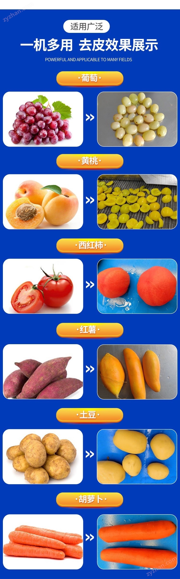 黃桃 山楂罐頭加工去皮機 蒸汽去皮