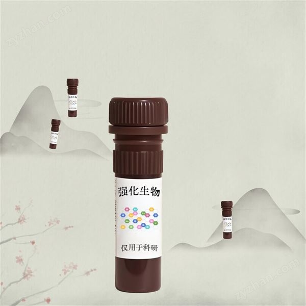 Z-DEVD-FMK凋亡相關(guān)蛋白Caspase-3抑制劑圖片
