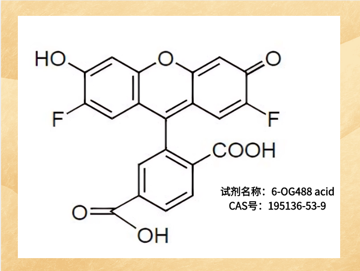 6-OG 488-COOH可用于構(gòu)建熒光探針，檢測環(huán)境中的特定物質(zhì)