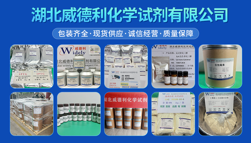 聚二羟基吲哚/黑色素 8049-97-6  威德利全球速递